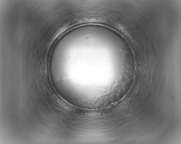 X0000056031173200509092157