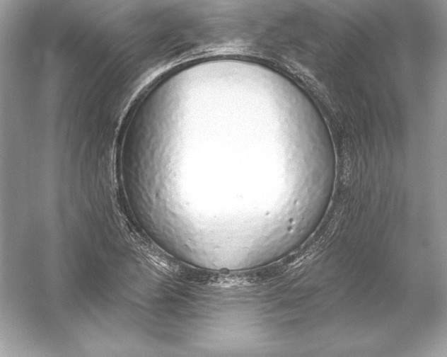 X0000056031174200509092157