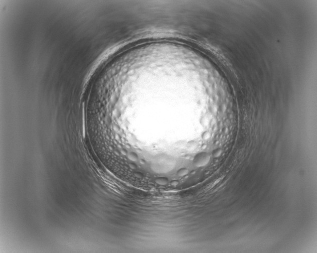 X0000056031175200509092157