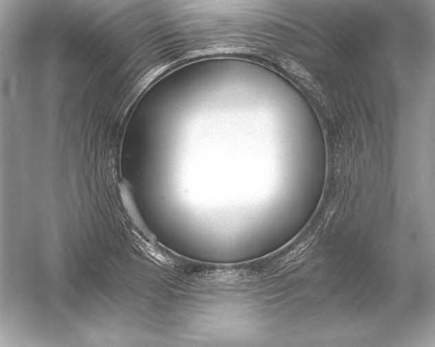 X0000056031177200509092157