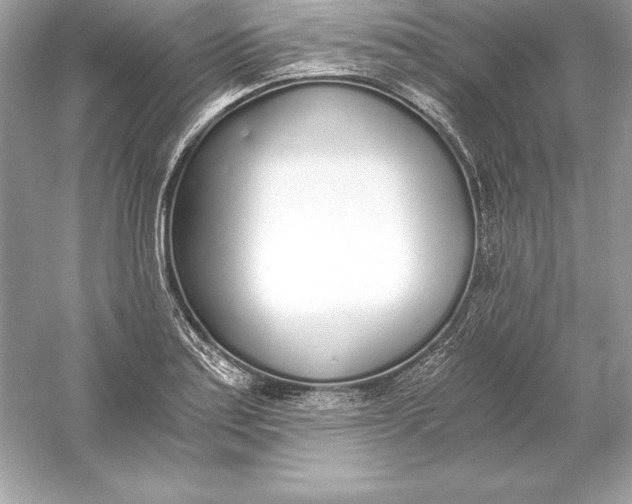 X0000056031179200509092157