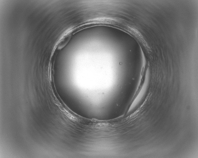 X0000056031180200509092157