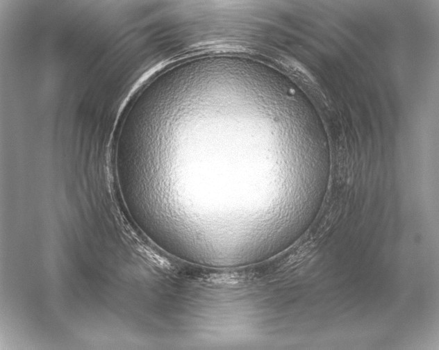 X0000056031182200509092157