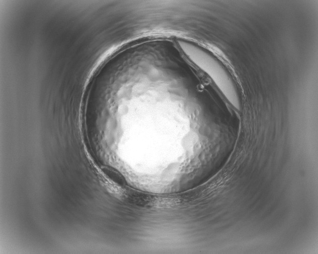 X0000056031183200509092157