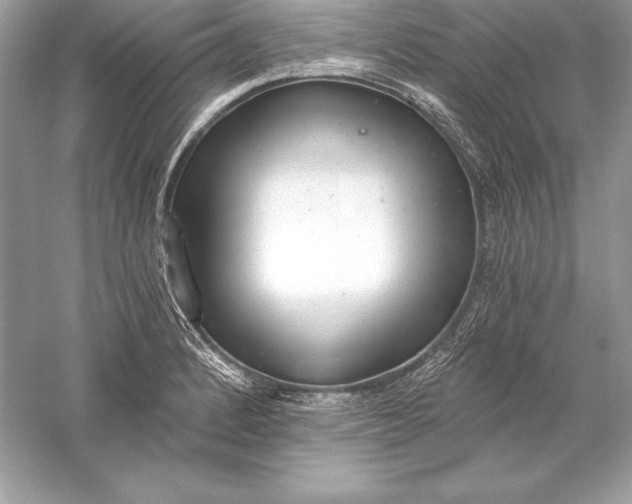 X0000056031184200509092157