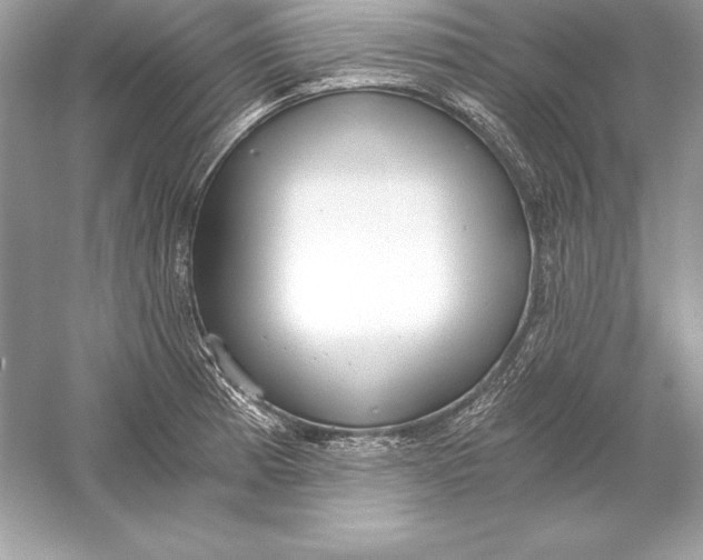 X0000056031185200509092157