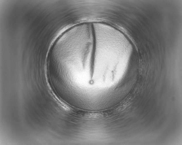 X0000056031187200509092157