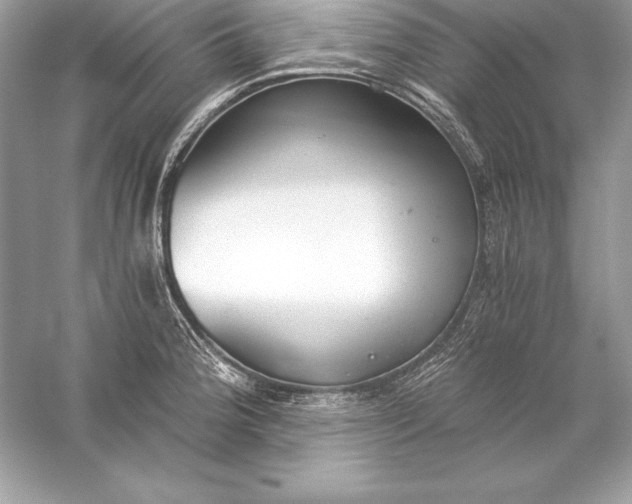 X0000056031188200509092157