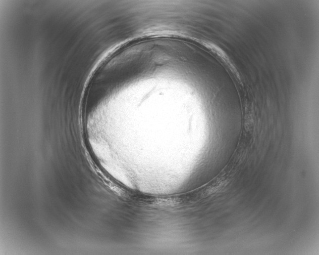 X0000056031191200509092157