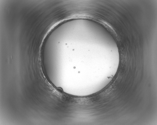 X0000056031192200509092157