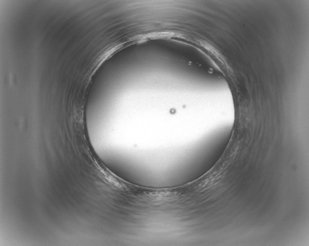 X0000056031193200509092157