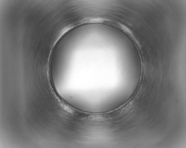 X0000056031194200509092157