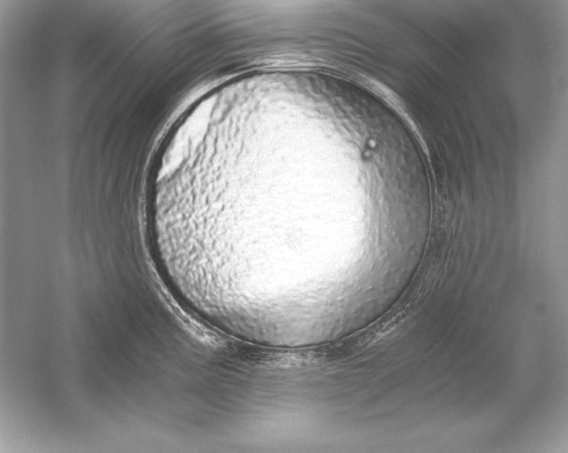 X0000056031195200509092157