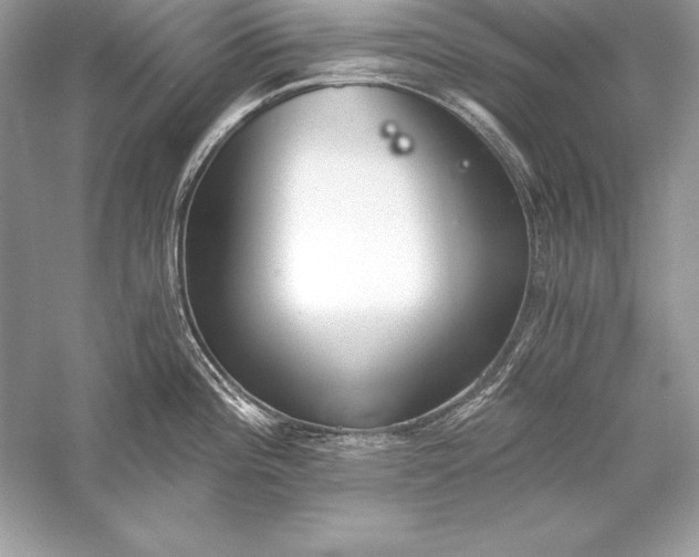 X0000056031196200509092157