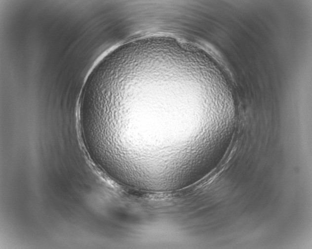 X0000056031198200509092157