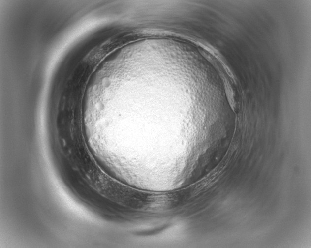 X0000056031199200509092157