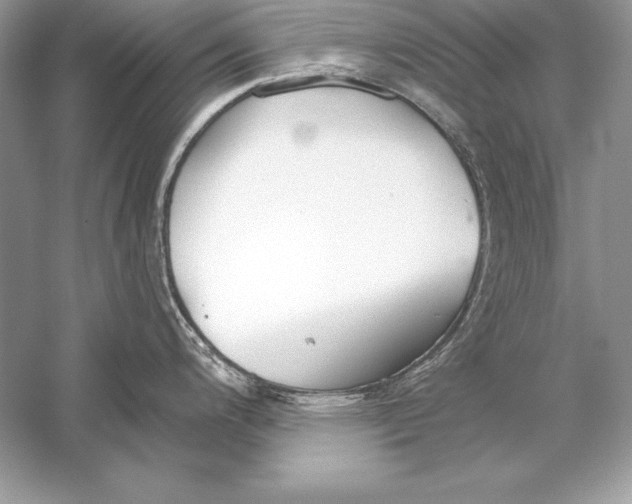 X0000056031200200509092157