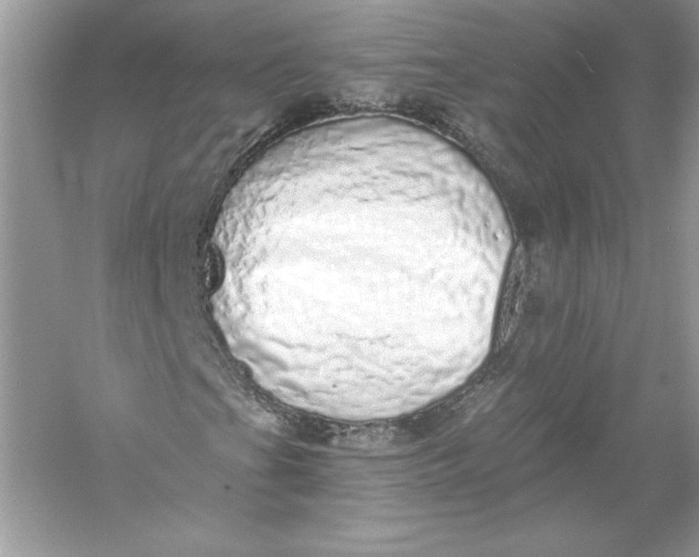 X0000056031201200509092156