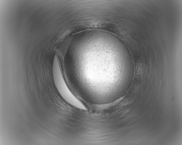 X0000056031202200509092156