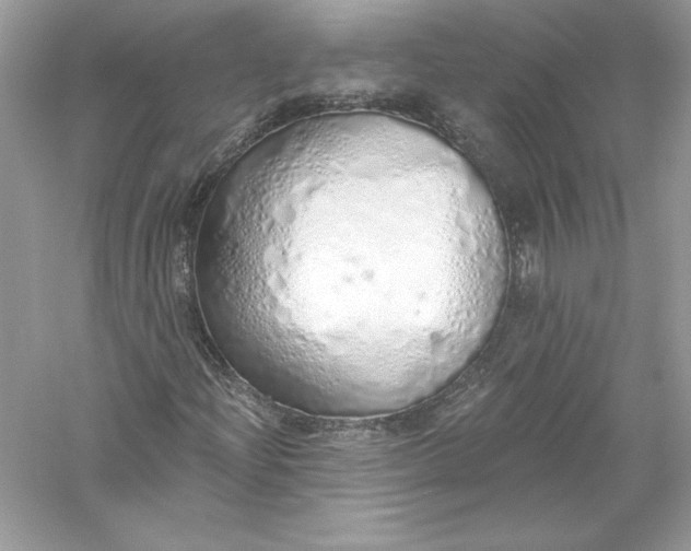 X0000056031204200509092156