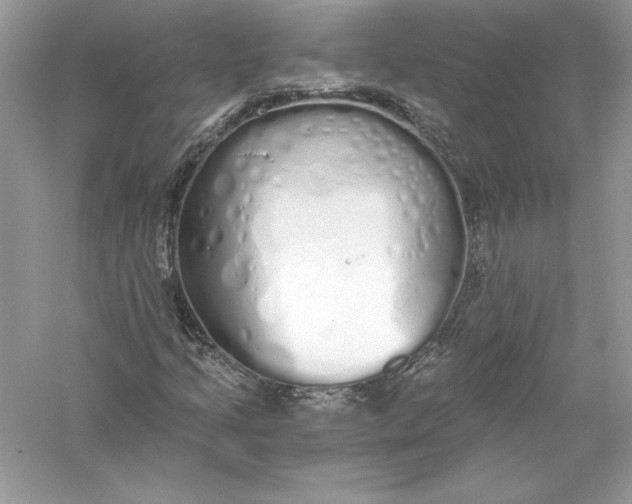 X0000056031205200509092156