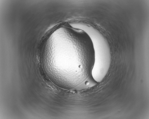 X0000056031206200509092156