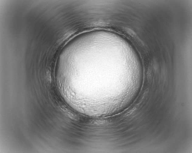 X0000056031209200509092156