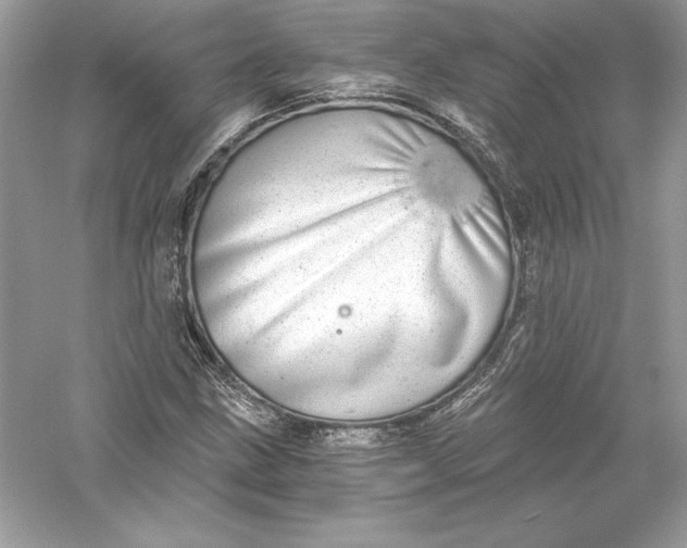 X0000056031211200509092156