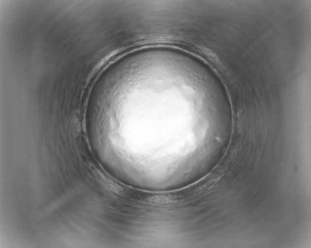 X0000056031212200509092156