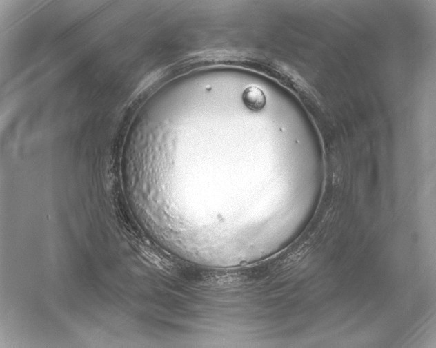 X0000056031213200509092156