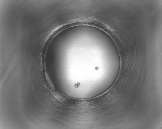 X0000056031214200509092156