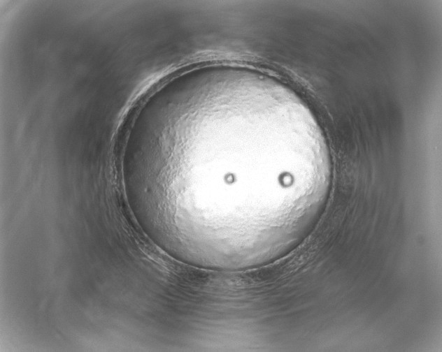 X0000056031215200509092156