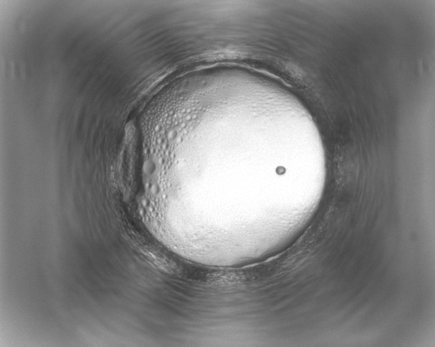 X0000056031217200509092156