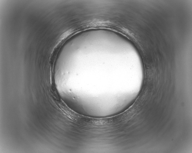 X0000056031219200509092156