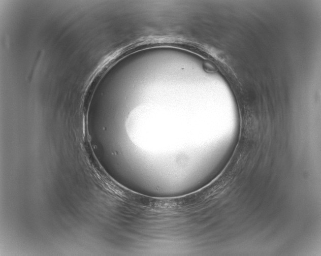 X0000056031221200509092156