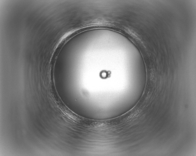 X0000056031222200509092156