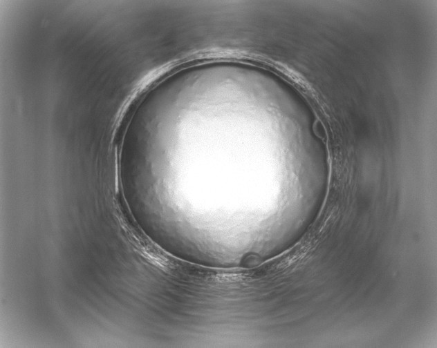 X0000056031223200509092156