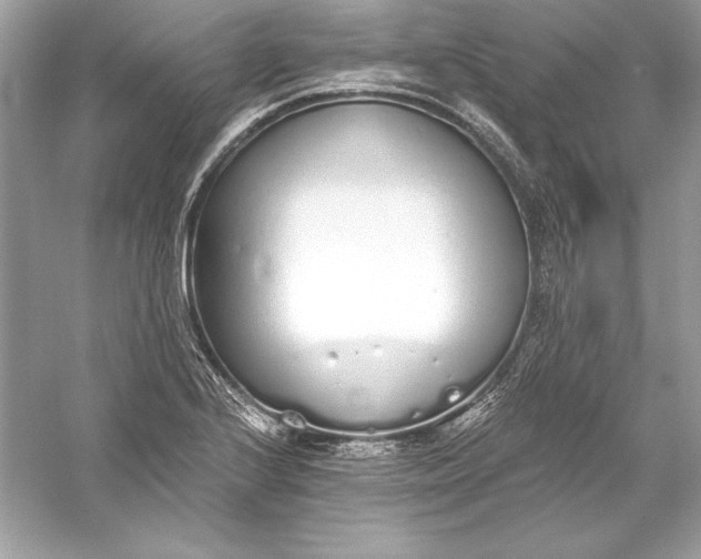 X0000056031224200509092156