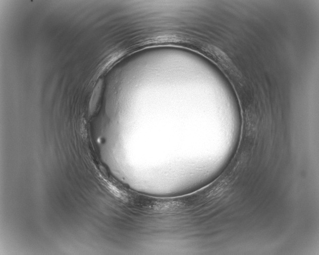 X0000056031225200509092156