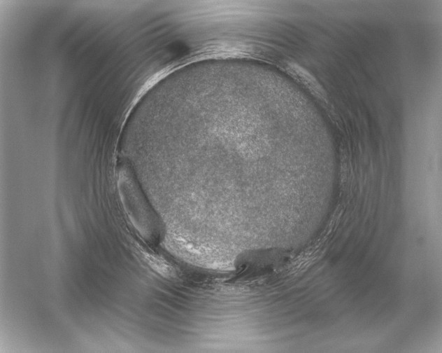 X0000056031226200509092156