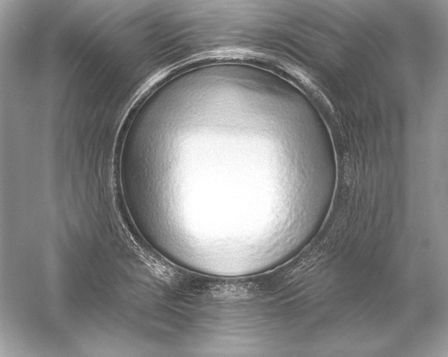 X0000056031229200509092156