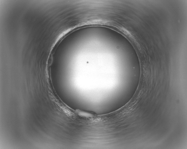 X0000056031230200509092156