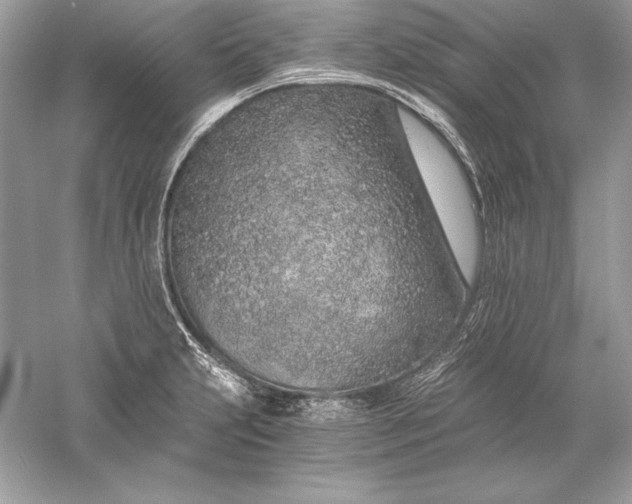 X0000056031231200509092156