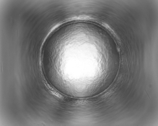 X0000056031232200509092156