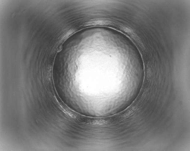 X0000056031233200509092156