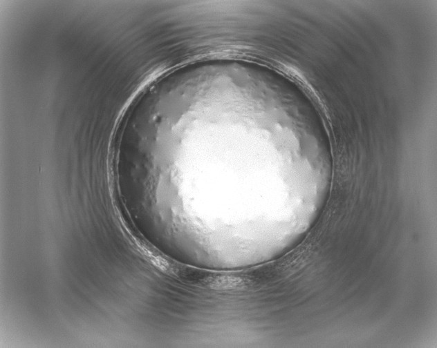 X0000056031235200509092156