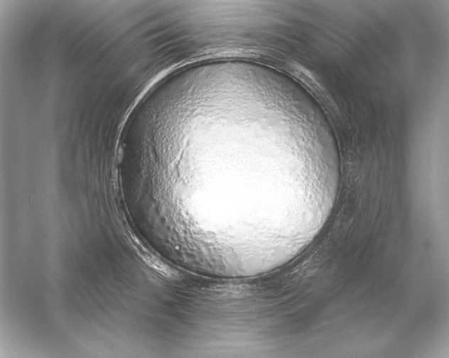 X0000056031236200509092157