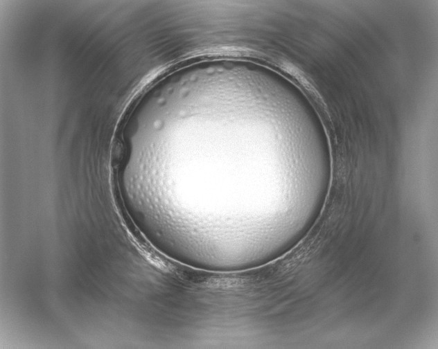 X0000056031237200509092157