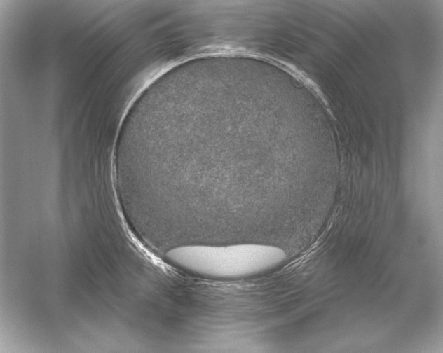 X0000056031239200509092157