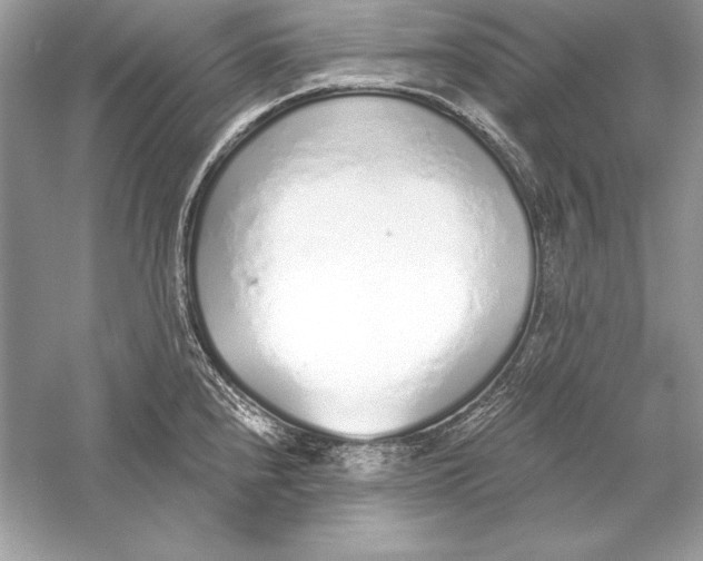 X0000056031240200509092157